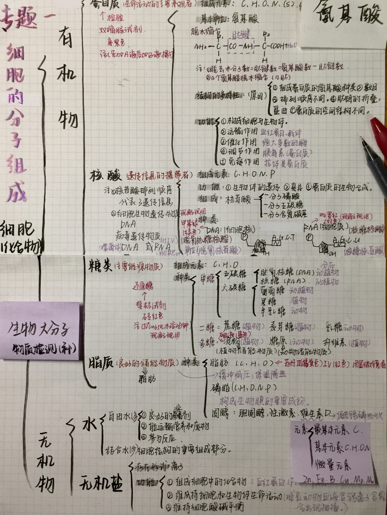 学考复习《细胞的分子组成》思维导图