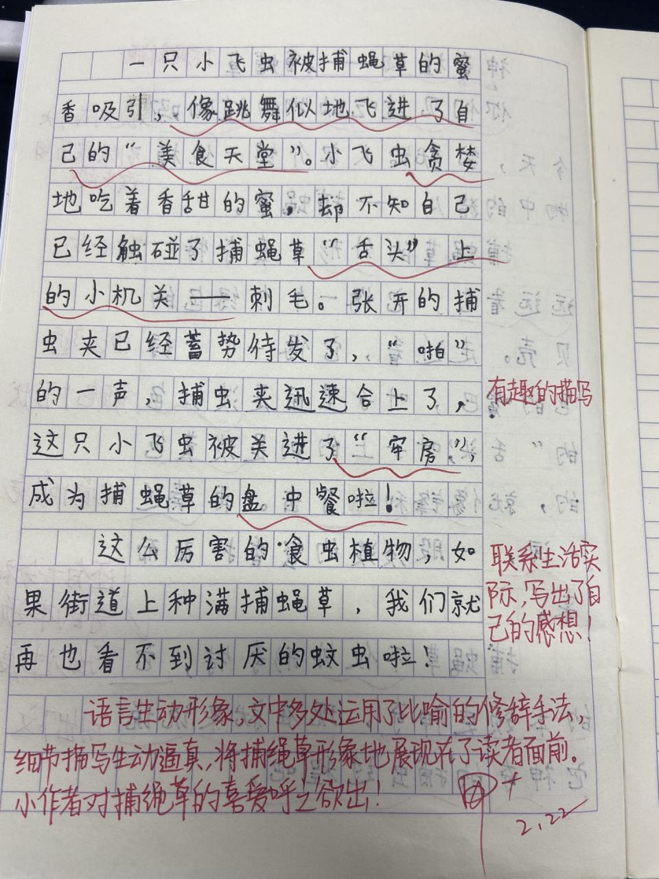 学生习作:我的植物朋友 神奇植物——捕蝇草 非常喜欢的一篇