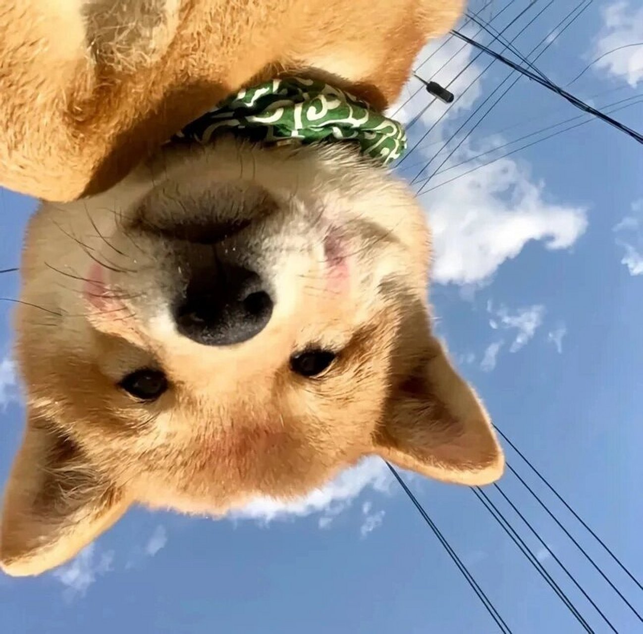 95蓝色天空情侣头像 蓝蓝的天空～白云飘