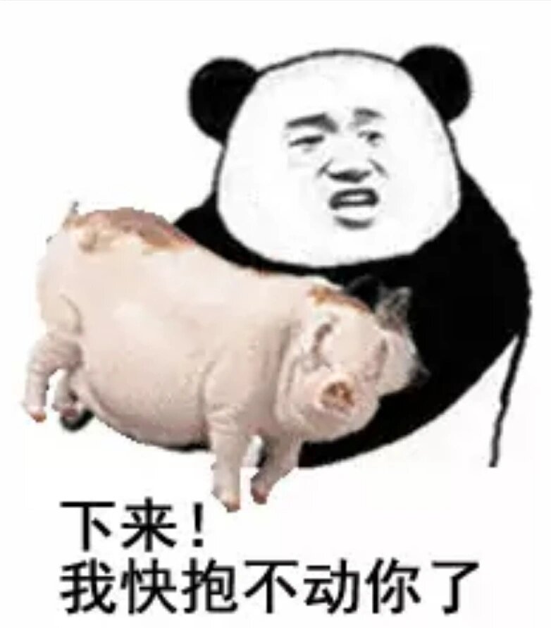 猪猪 表情包来咯?