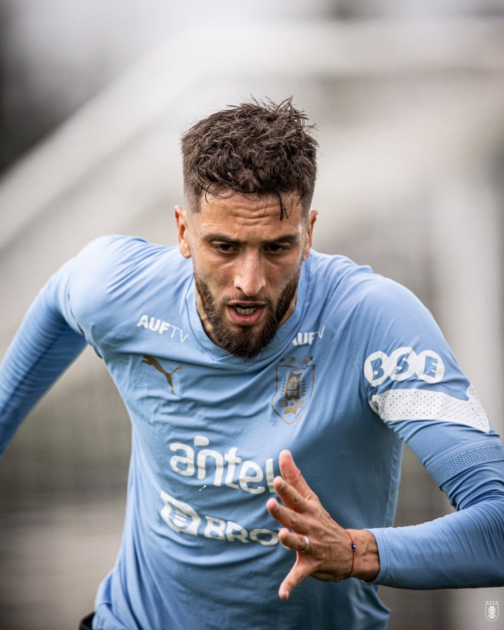 终 于 回 娘 家   本坦库尔入选了最新一期的乌拉圭国家队集训大名单.