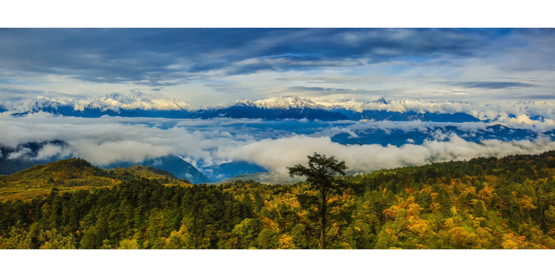 雅安旅游攻略|你想看的风景人文这里都有 大家都知道,雅安是座兼具