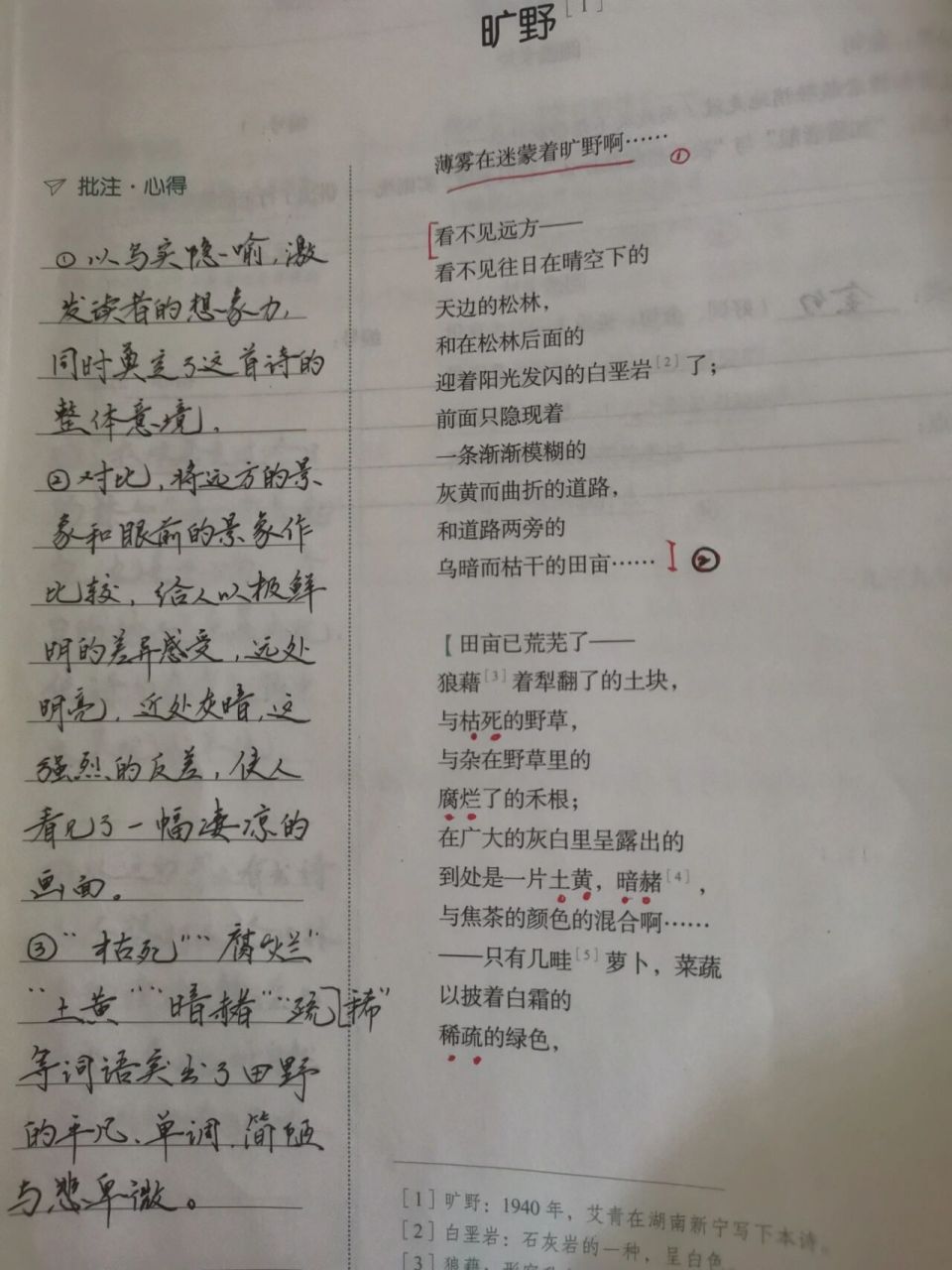 《艾青诗歌》批注 《旷野》 《旷野(又一章)》