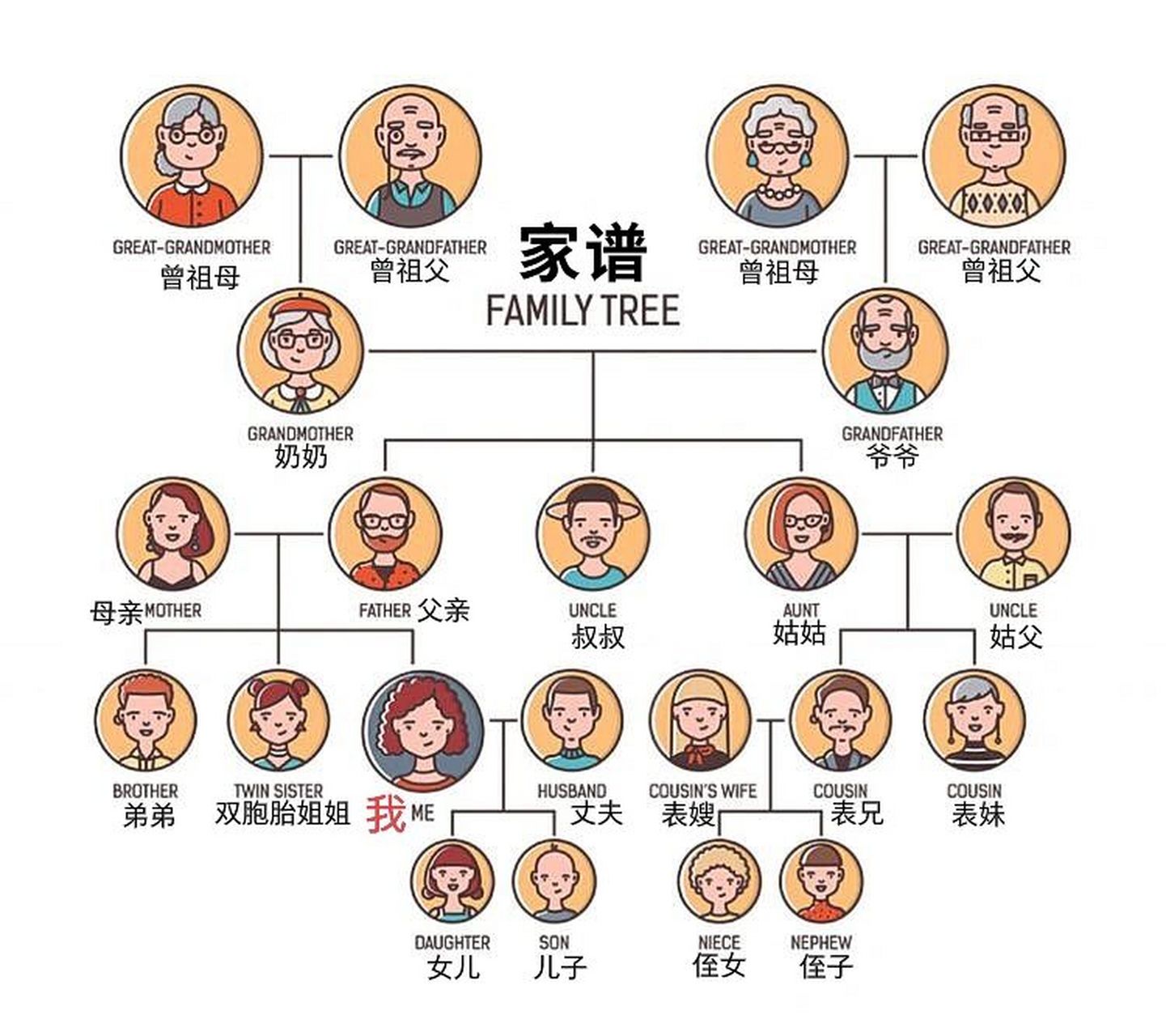 亲属的英文是什么(亲属用英文怎么读?) 第2张