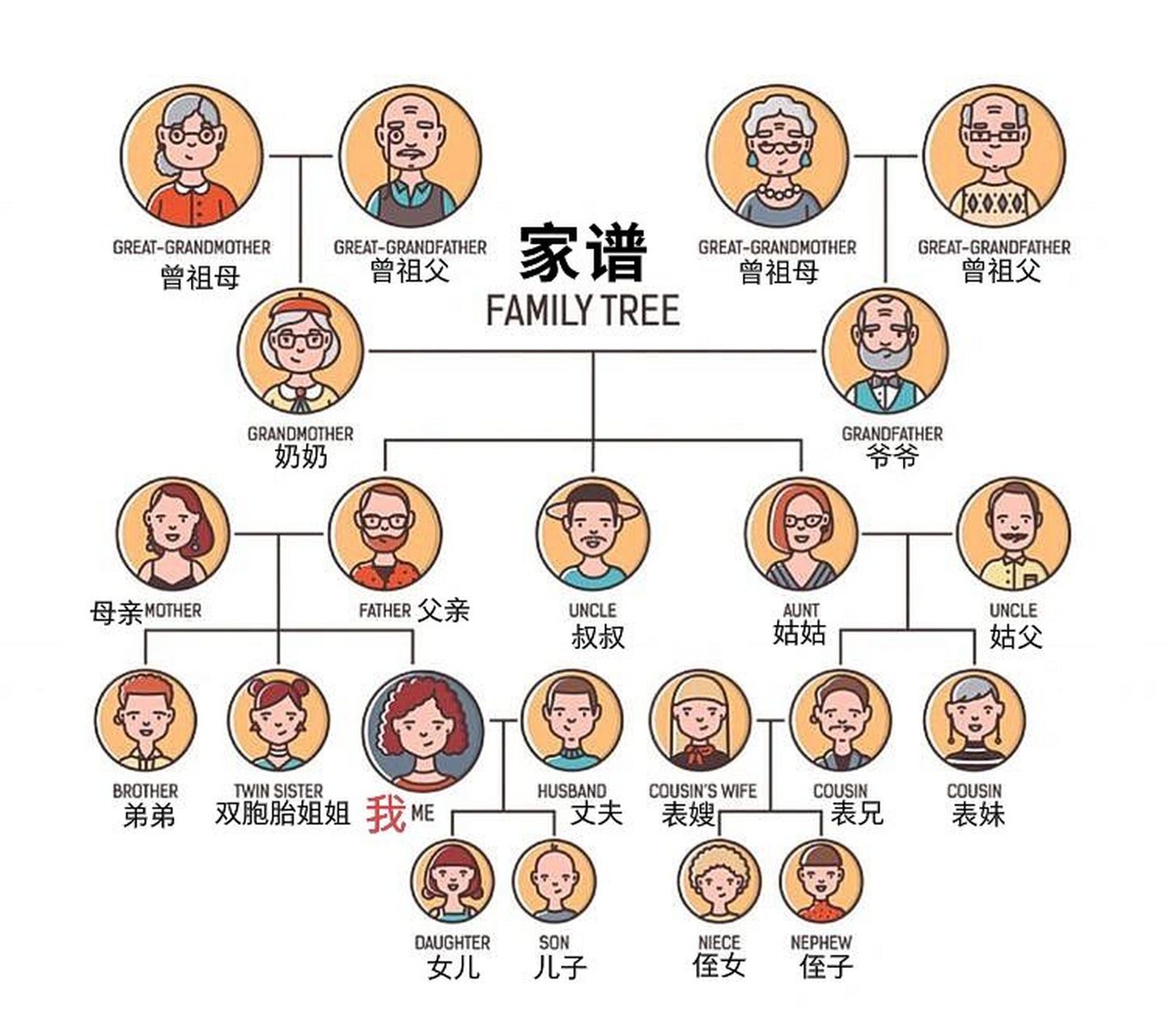 英文家庭成员关系图图片