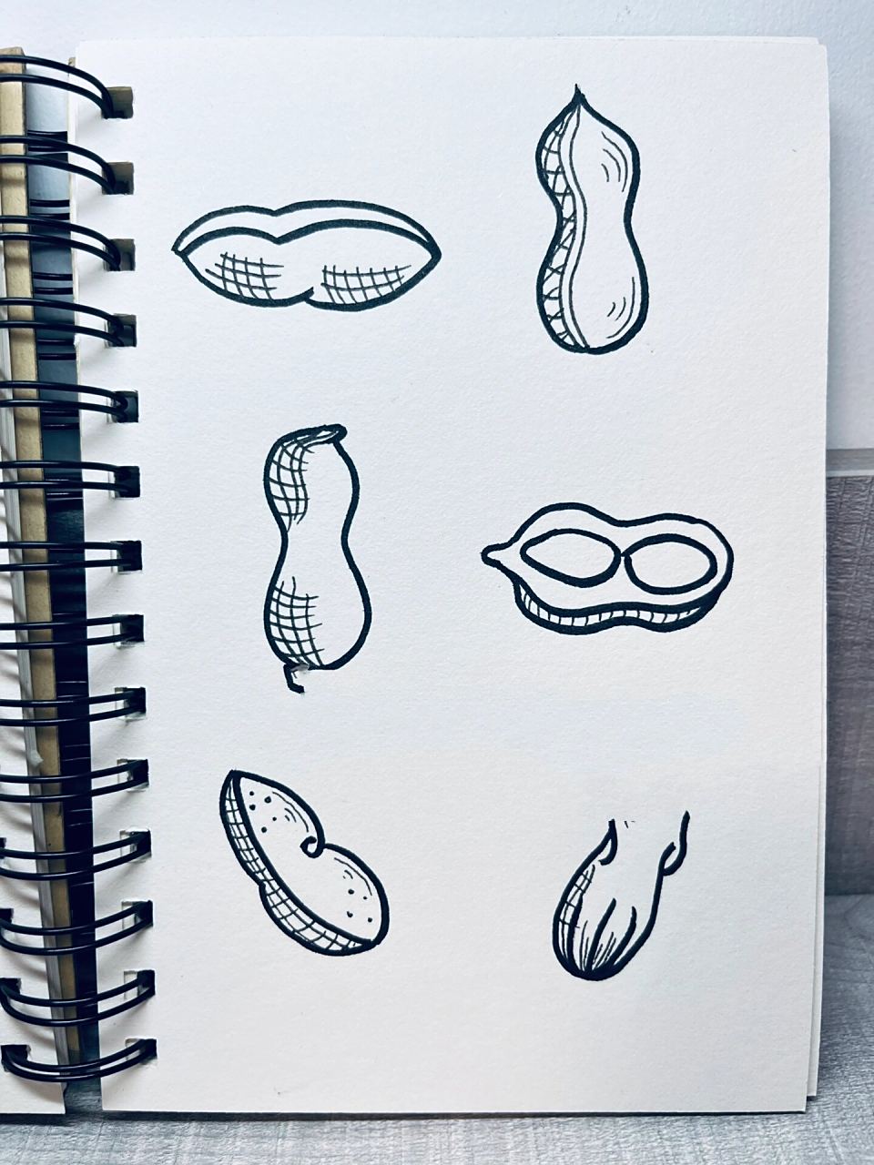 简笔画「花生」0606