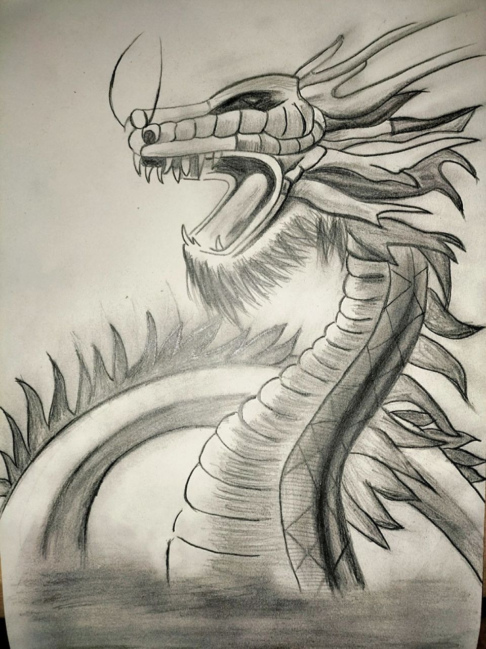 素描:龙 素描画龙 93 工具:2b铅笔,橡皮擦,画纸