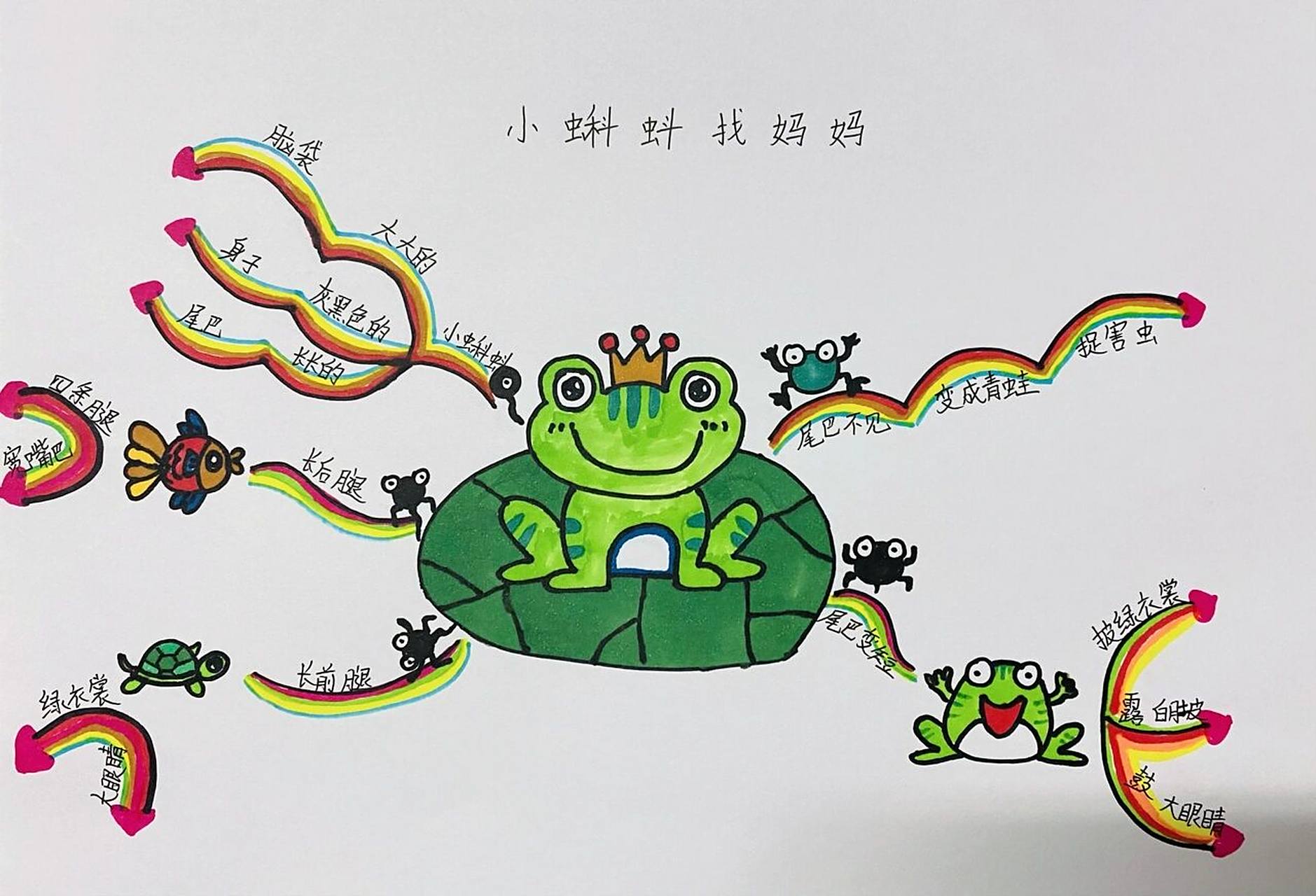 《小蝌蚪找妈妈》思维导图