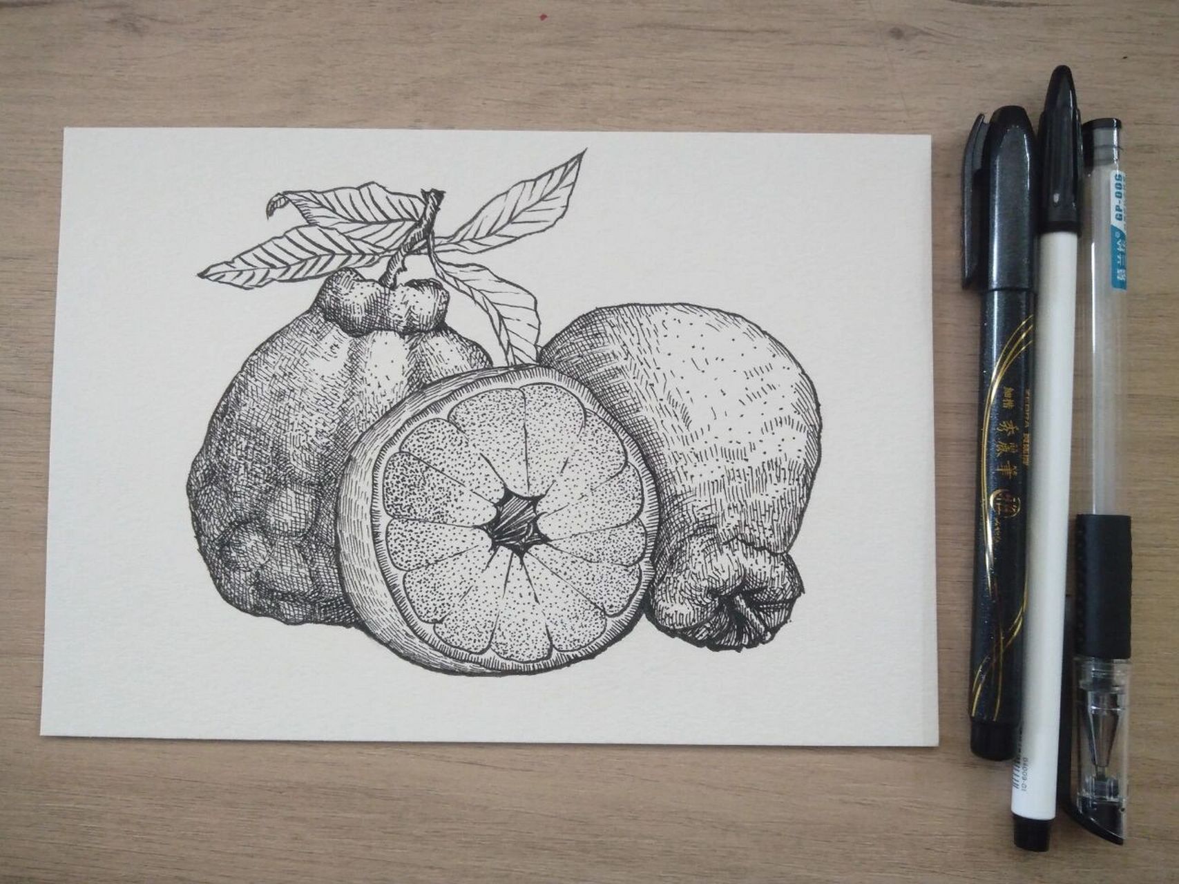 丑橘写生#水果线描写生#黑白线描画#原创 《丑橘写生》 适合年龄:8岁