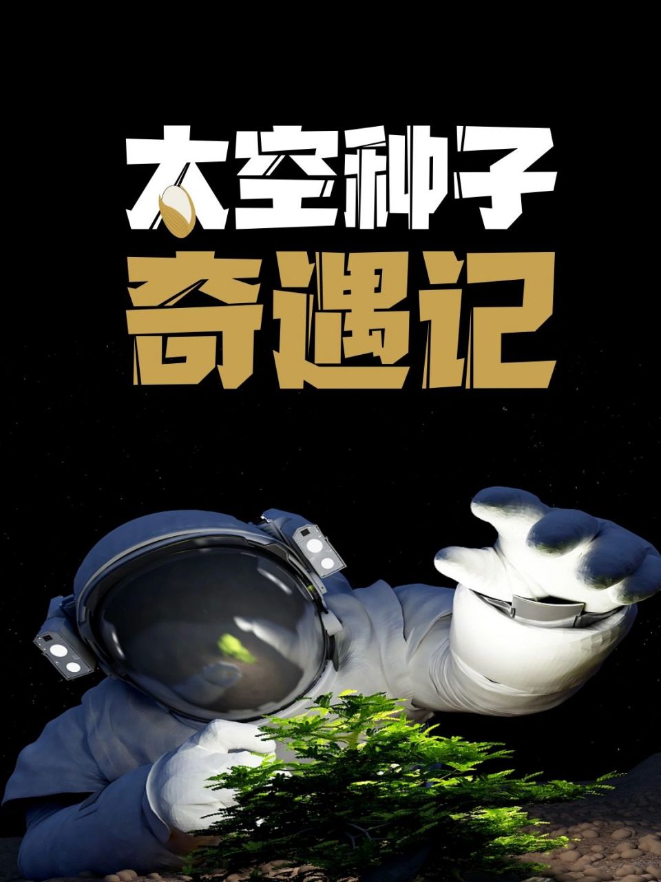 太空种子奇遇记|种太空种子是什么体验?
