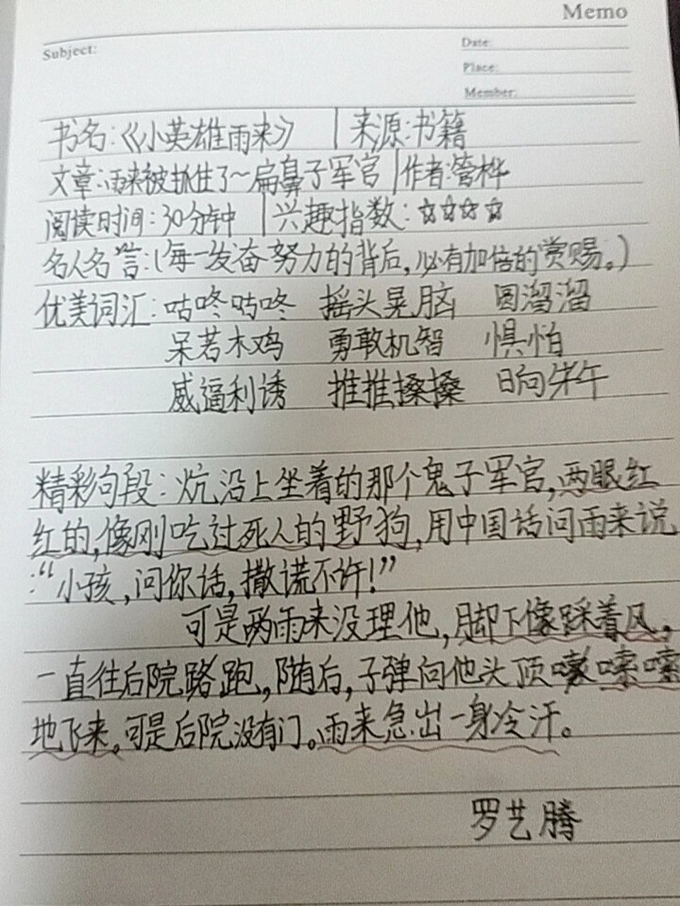 《小英雄雨来》好词佳句