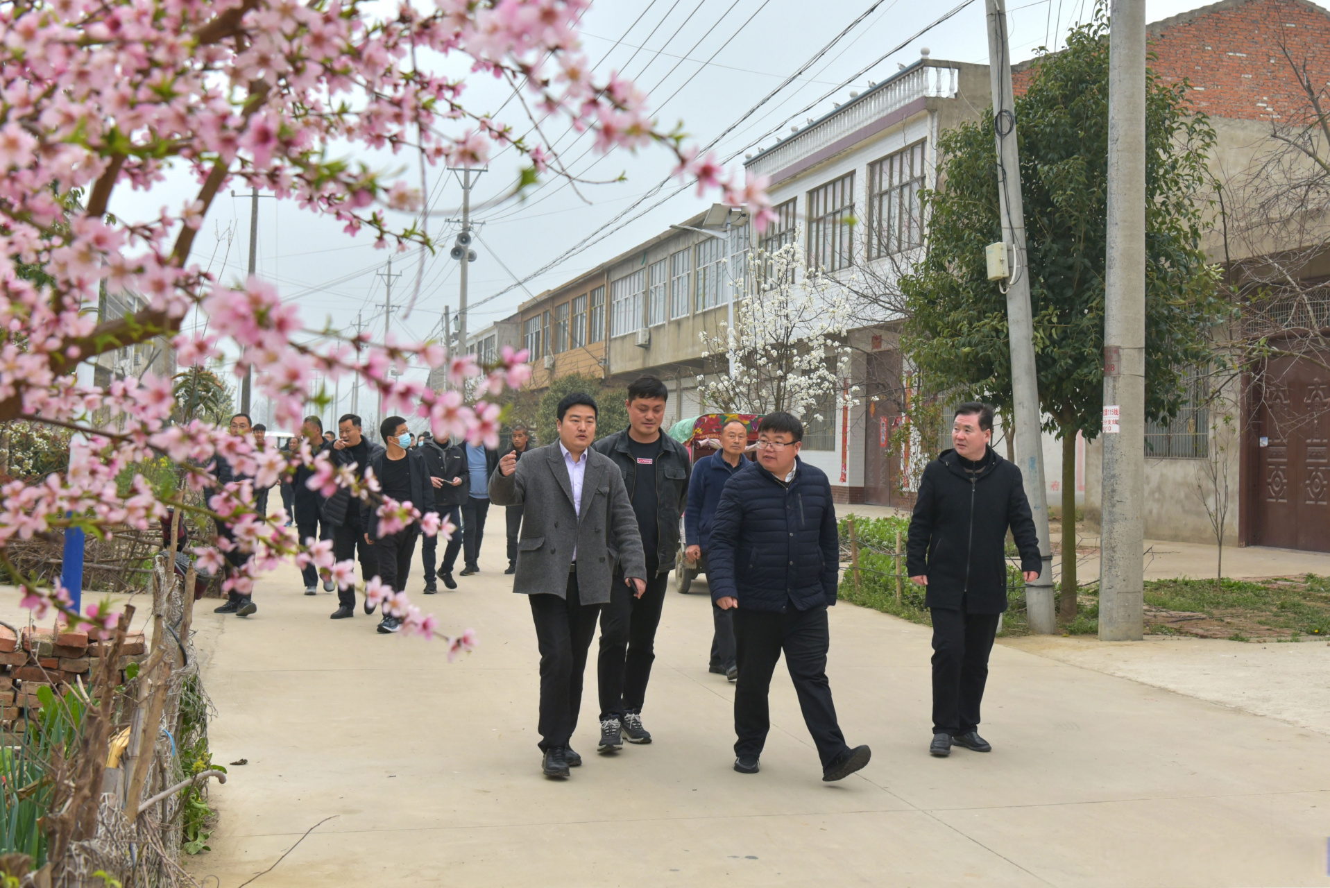 安徽亳州谯城区古城镇:聚力整治提升 争创文明乡村 近日,安徽亳州