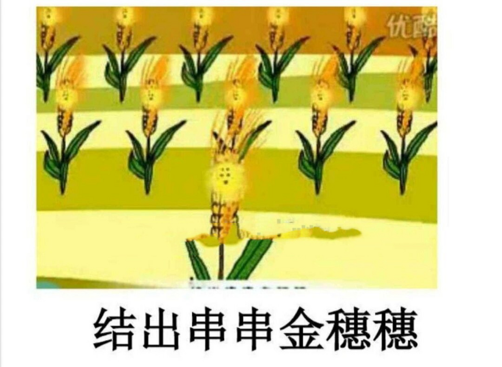 《秋天多么美》图谱图片