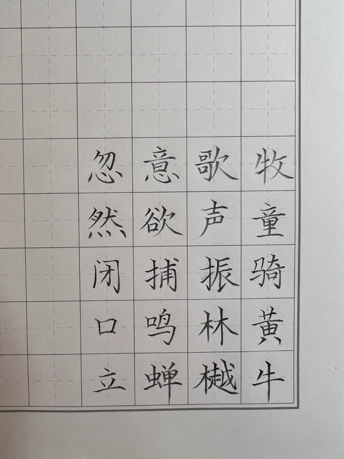 写字打卡第四十天 古诗《所见》 硬笔楷书古诗《所见》