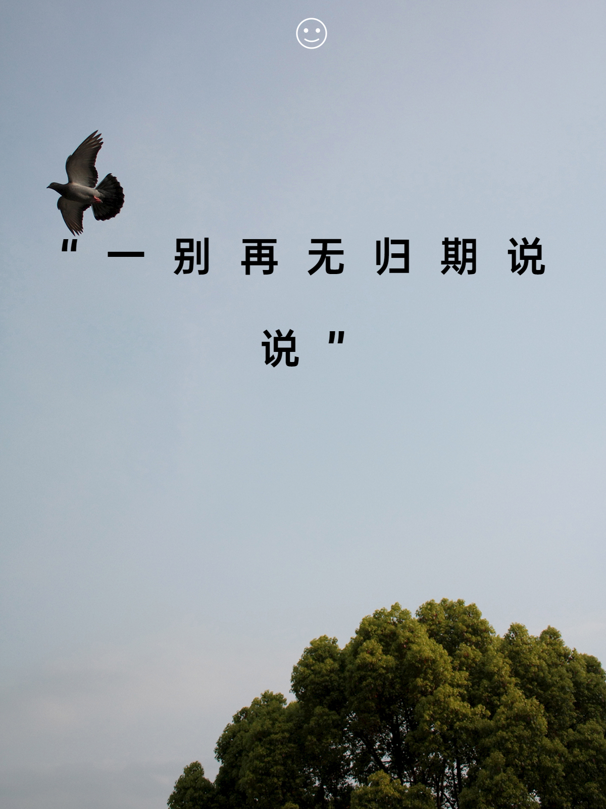 在这个喧嚣的世界里我们总是忙碌着追逐各种目标却常常忽略了身边最