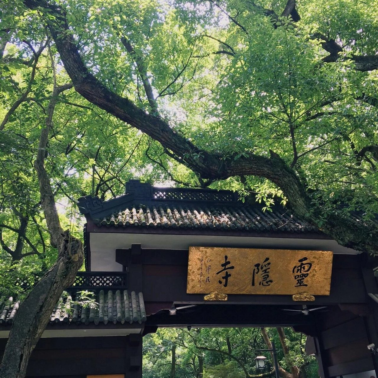 灵隐寺 灵隐寺,中国佛教古寺,又名云林寺,位于浙江省杭州市,背靠
