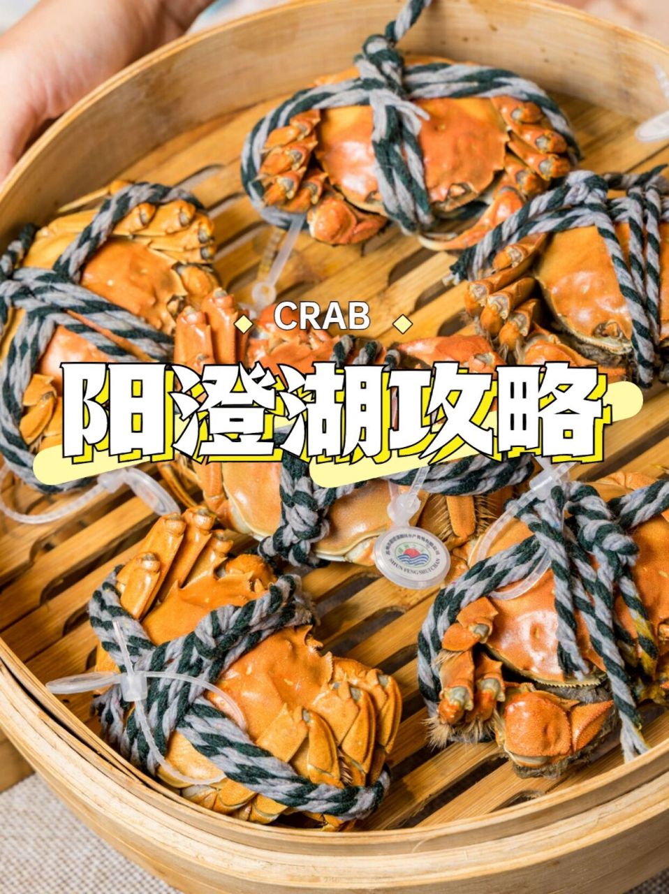 对蜂仔93来说10月必须要做的一件事,就是来一两只大闸蟹02,会吃蟹