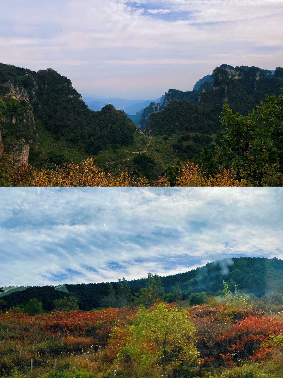 我的家乡|王莽岭7215 05景区简介 王莽岭景区位于山西省陵川县