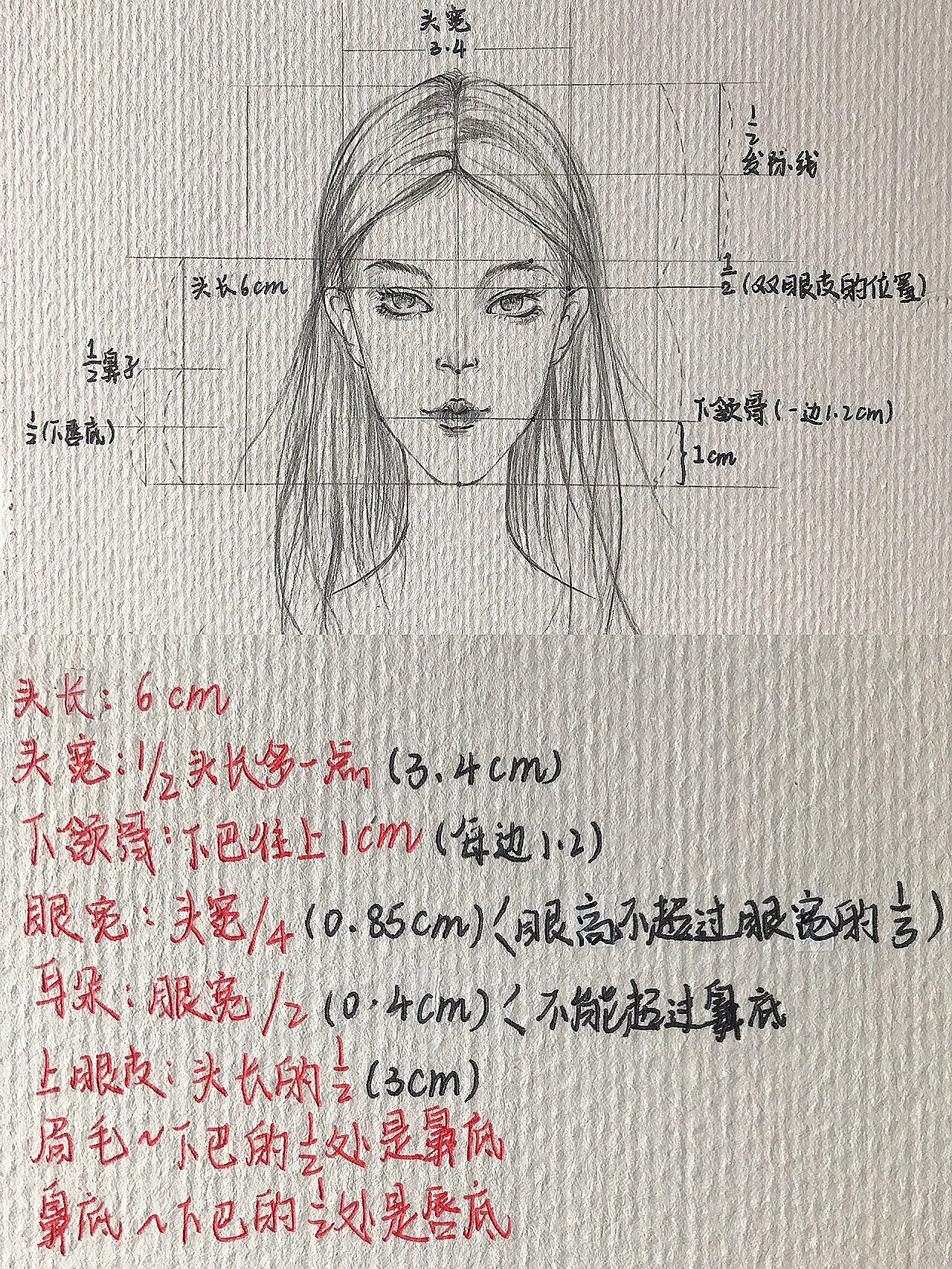 三庭五眼基本画法女性图片