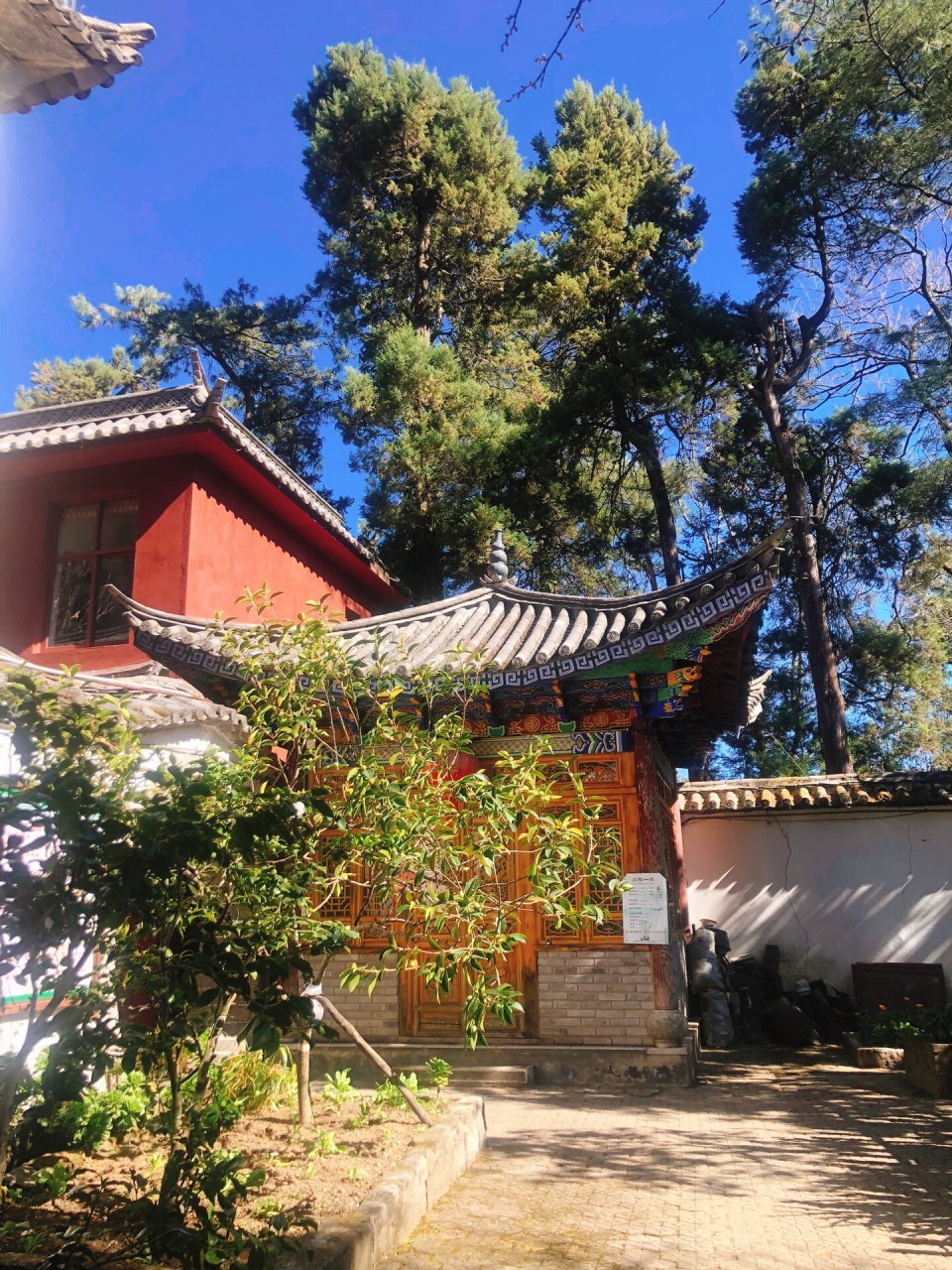 大理感通寺|爬苍山吃斋饭 96之前去了寂照庵吃斋饭,这次又来到了感
