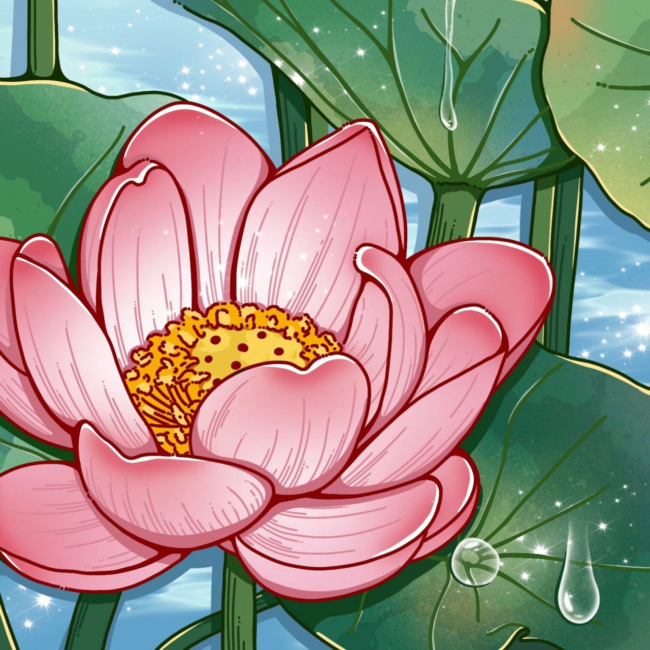 好运莲莲 原创莲花头像壁纸分享,祝大家好运连连