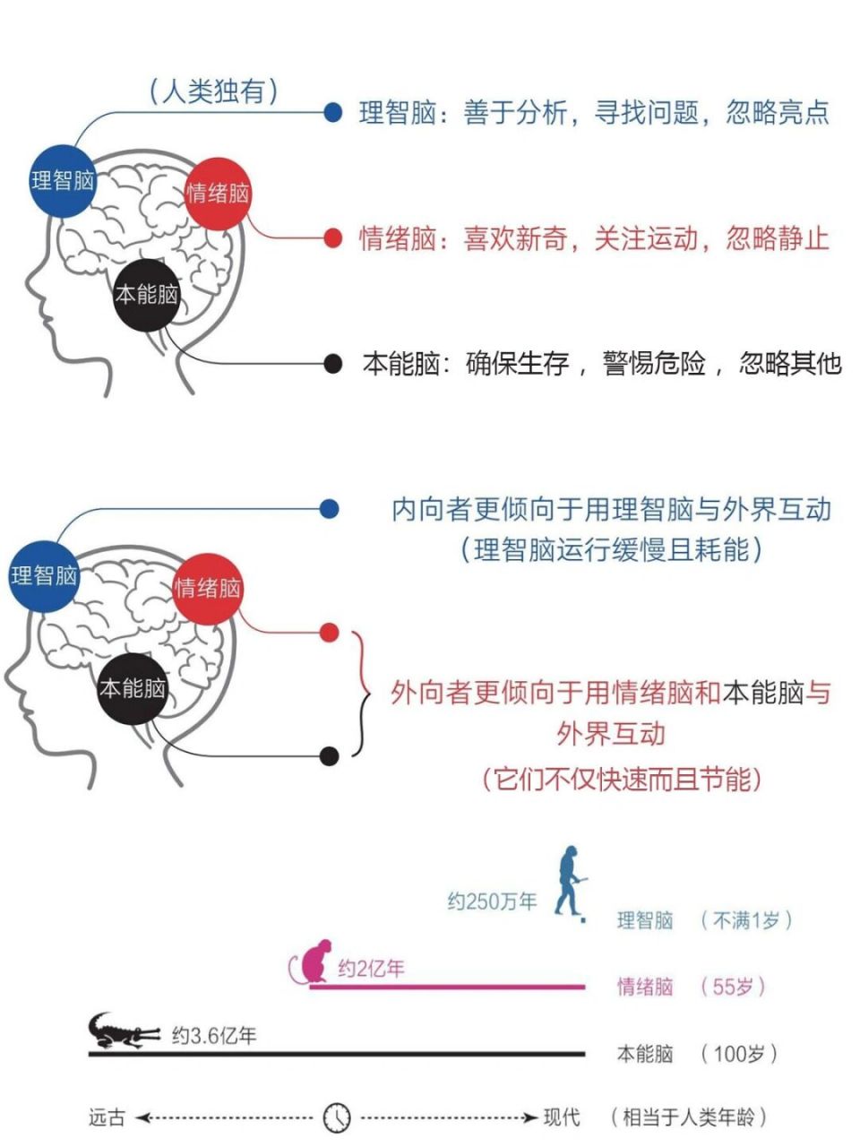 大脑才是一切问题的根源 我们有三种大脑 : 本能脑