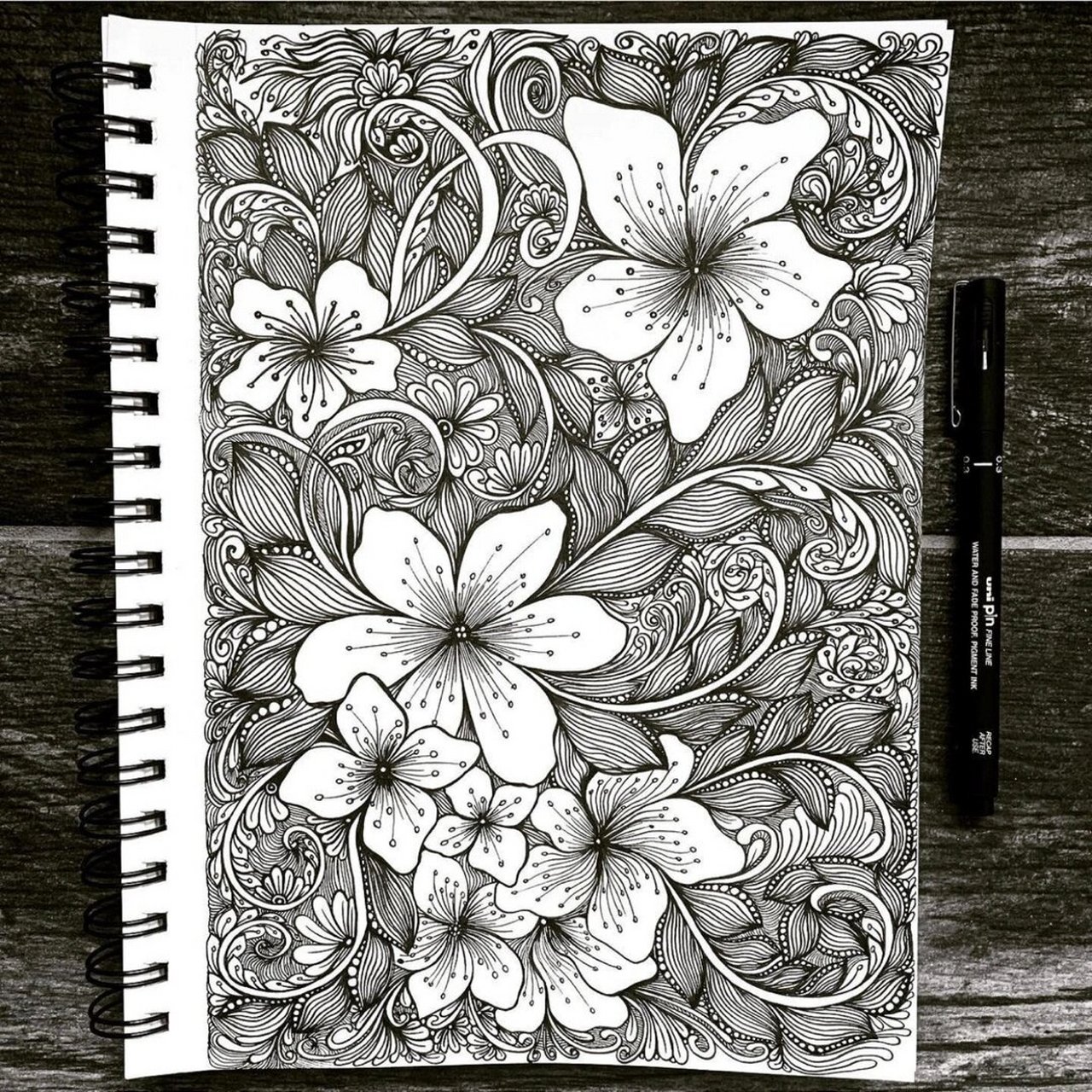 花卉|黑白装饰画 花卉缠绕黑白装饰画系列 要的自取 临摹@ . 步骤: 1.