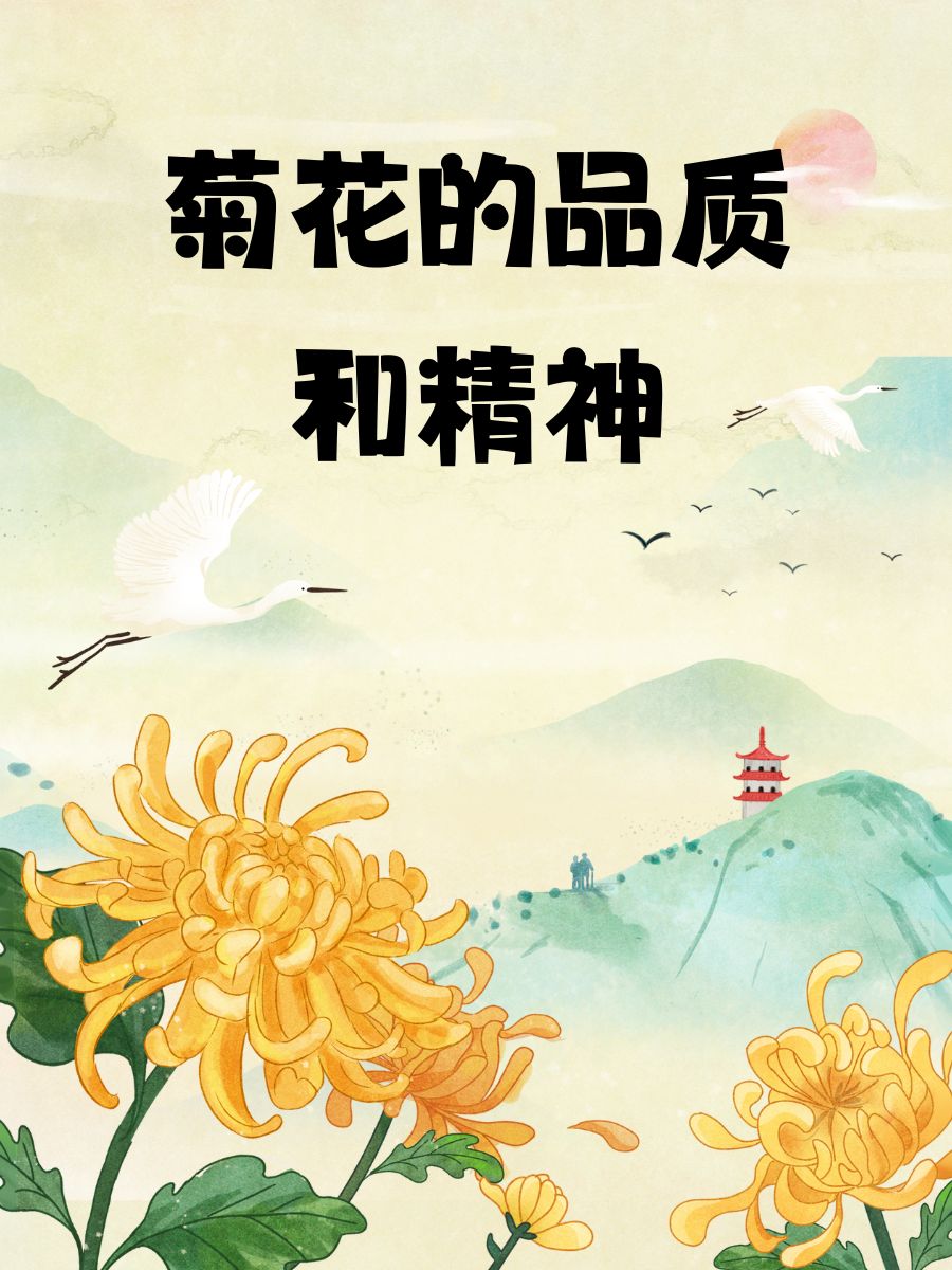 菊花的品质和精神  菊花,清雅而不失坚韧,秋风中的佼佼者.