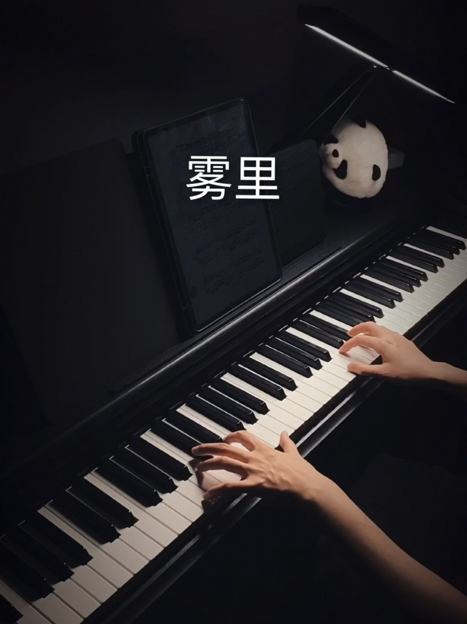 禁忌女孩娜诺跳舞bgm-《雾里》 大雾四起,每个人都