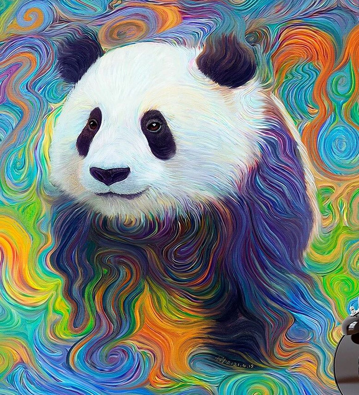 熊猫的彩色照片