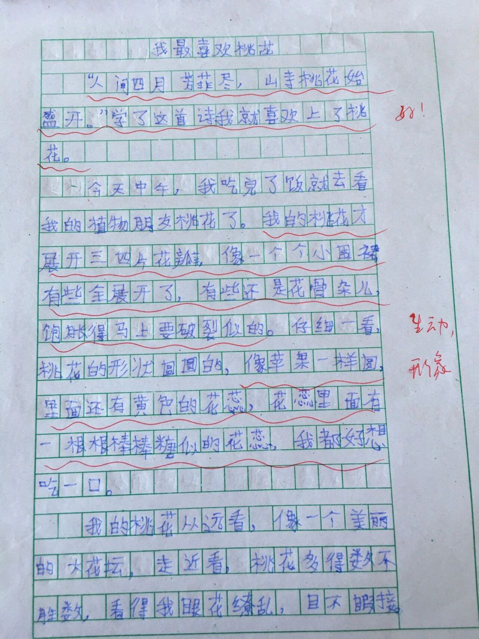 我的植物朋友作文桃花图片