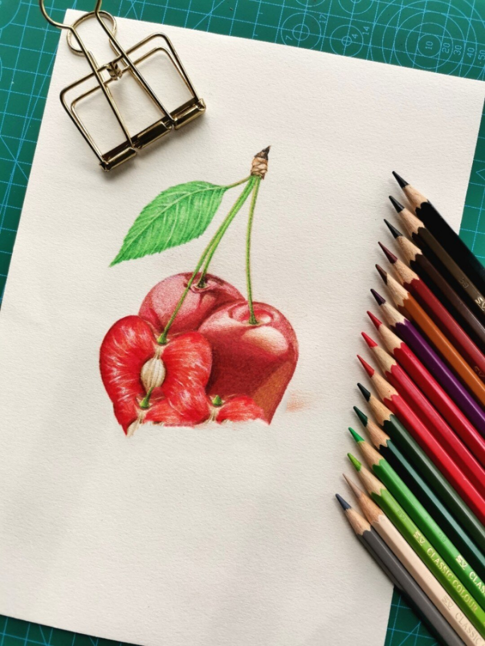 水果篇——樱桃彩铅画教程 樱桃(学名:cerasus spp.