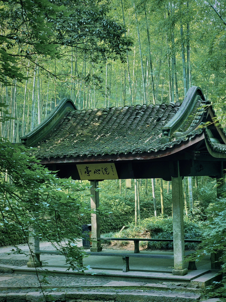 云溪竹径 | 杭州的绿野仙踪 分享一个堪称杭州天然小氧吧的好地方~云