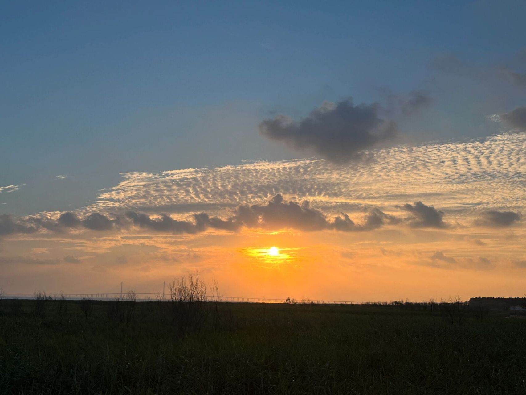 走的匆忙脸都没来得及洗,本没打算拍照,但崇明岛海边的景色真是太棒啦