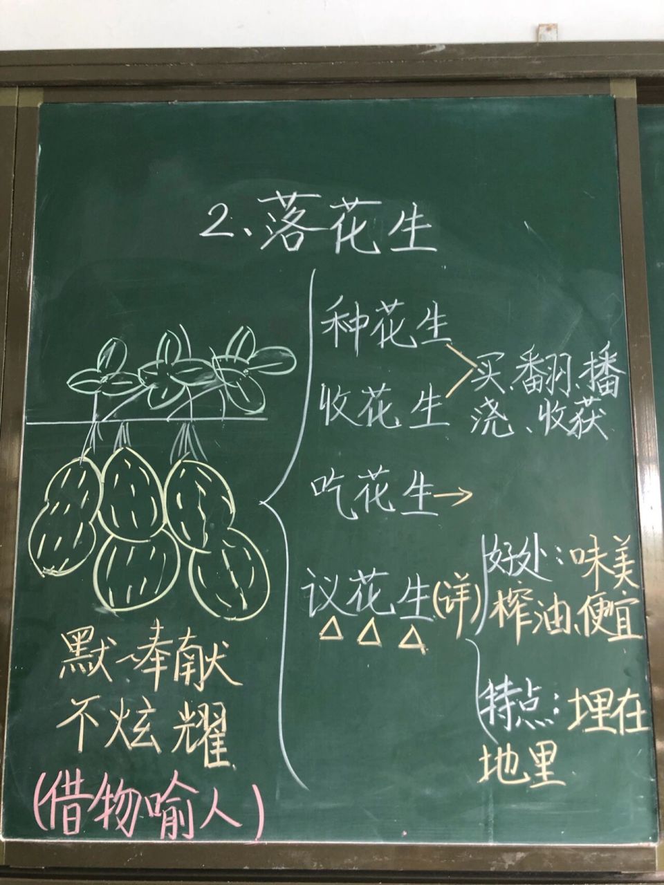 落花生板书设计一等奖图片