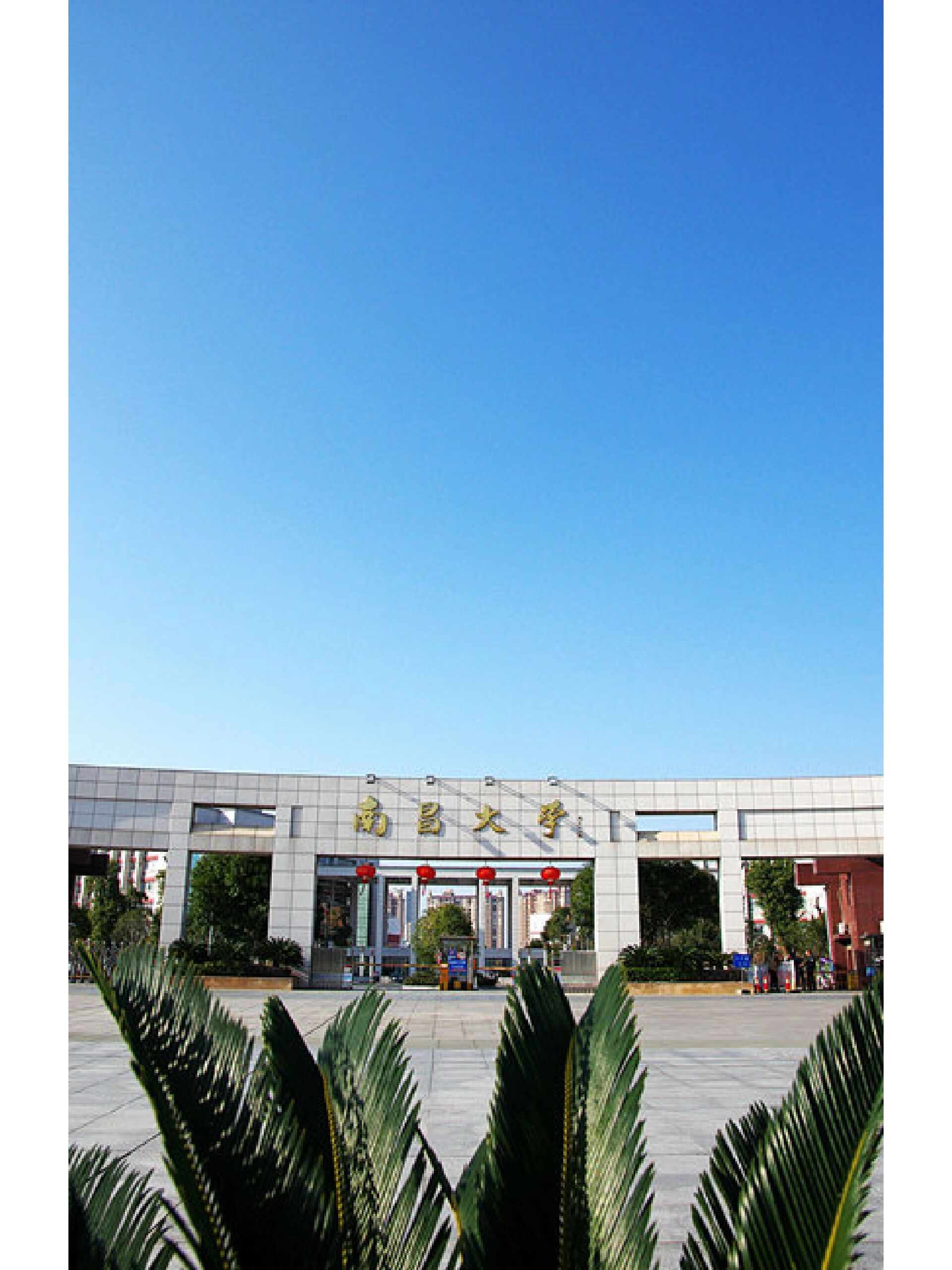 欢迎报考南昌大学抚州医学院