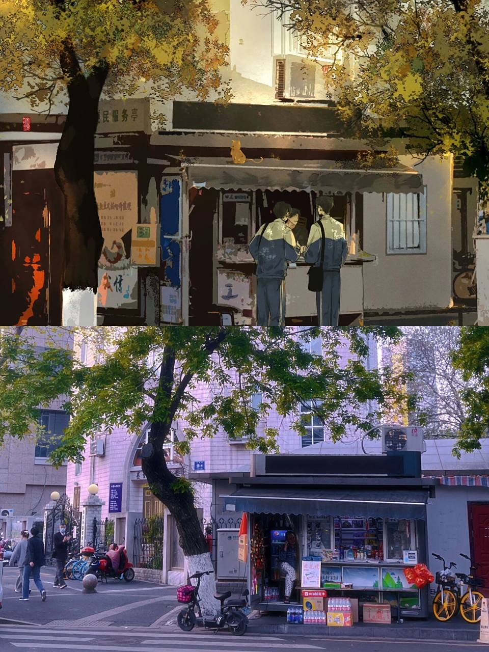 南京某某打卡(盛望江添) 三号路依然长的没有尽头,梧桐荫还是枝繁叶茂