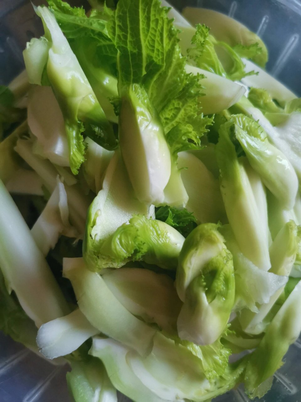 麻麻菜  终于在菜场看到了新鲜的麻麻菜,代购店40一斤,自己买点复刻