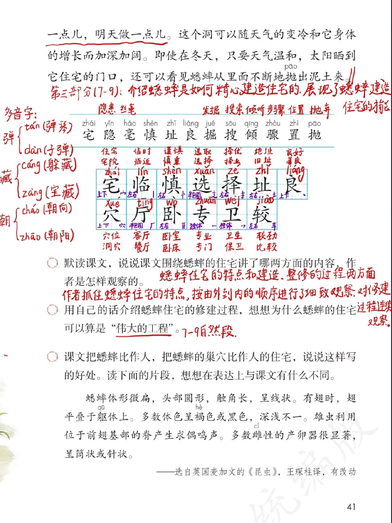 蟋蟀的住宅课堂图片