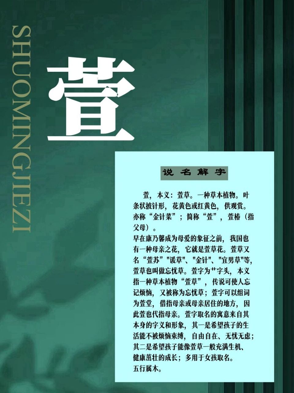 亦称"金针菜";简称"萱",如萱堂(借指母亲或母亲居住的地方).