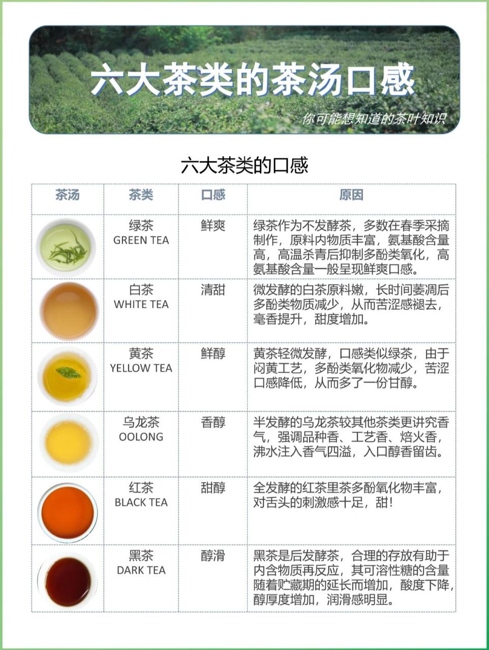 茶叶可分为六大类,绿茶,白茶,黄茶,乌龙茶,红茶和黑茶,因制作工艺的