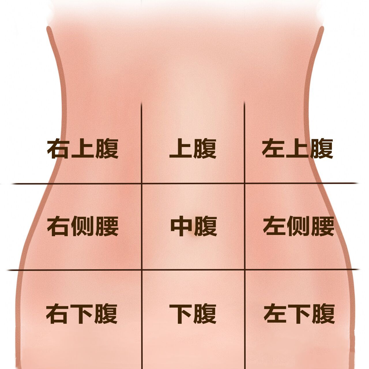 腹部的器官有很多,每个部位对应有不同的器官,不同部位的疼痛也代表了