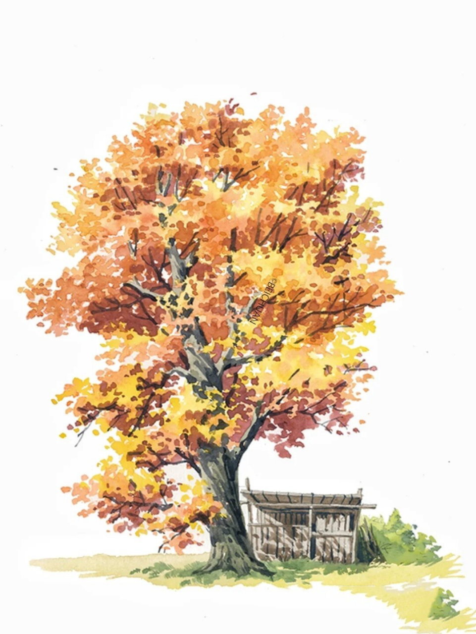 北川老师,一棵树的画法,好治愈,爱了爱了 水彩,树的画法,治愈系!大爱