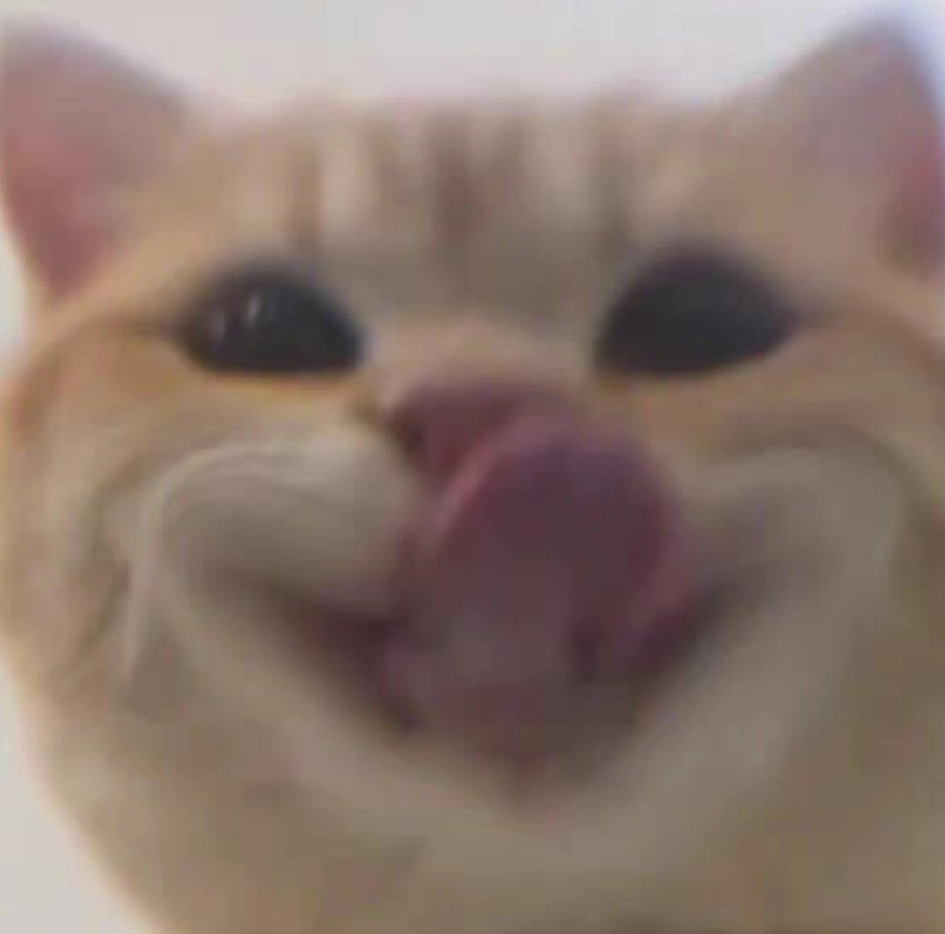 小猥琐表情包太可爱了