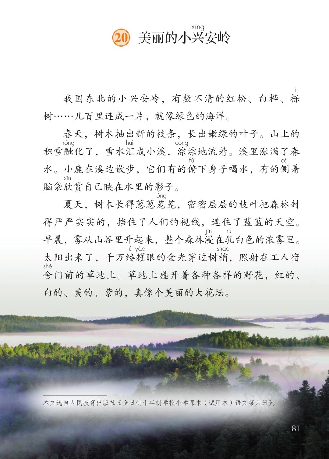 20,《美丽的小兴安岭》
