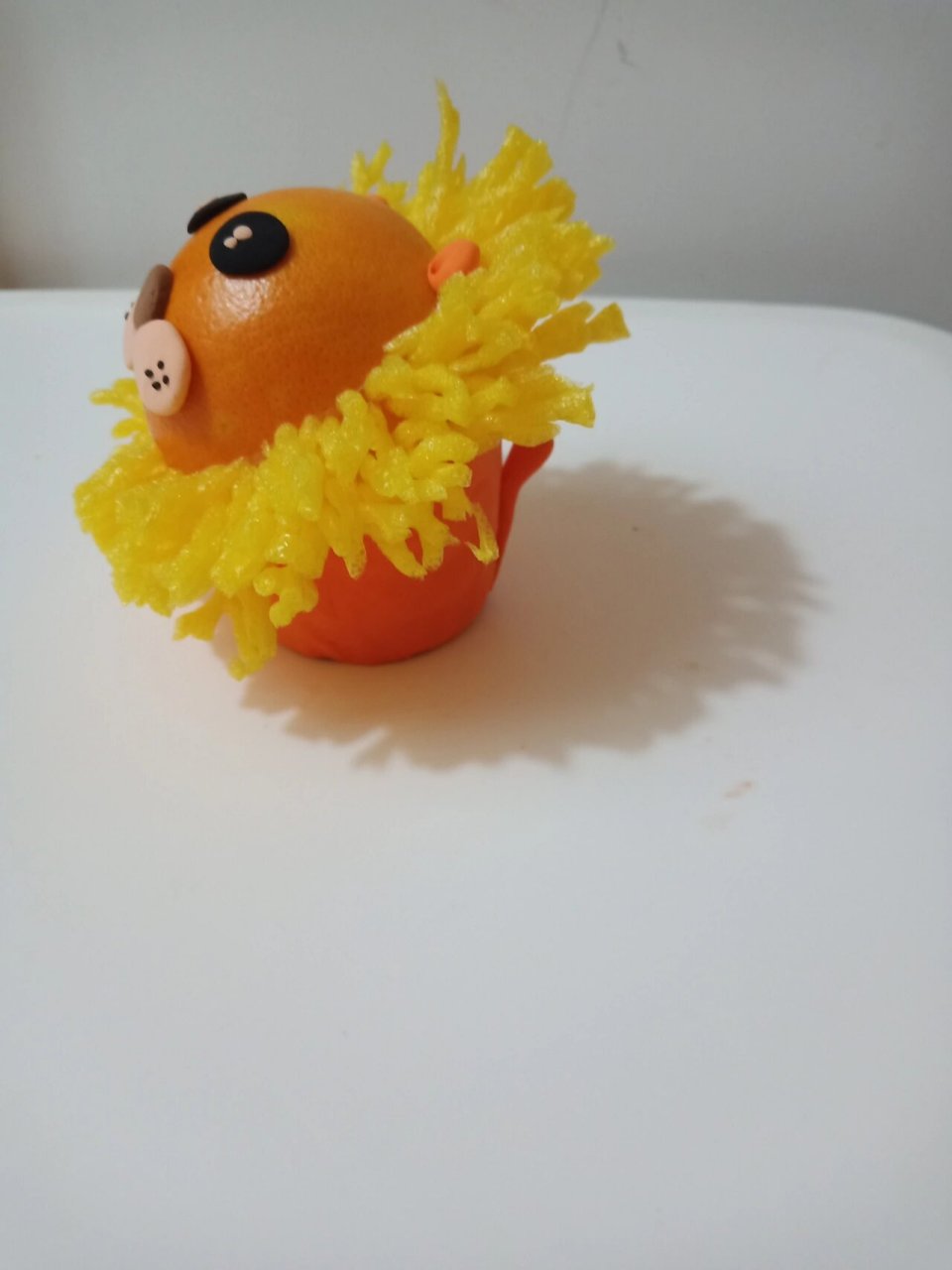 幼儿园的第一份作业,水果娃娃 用橙子做了个狮子,鬃毛是双面胶粘的