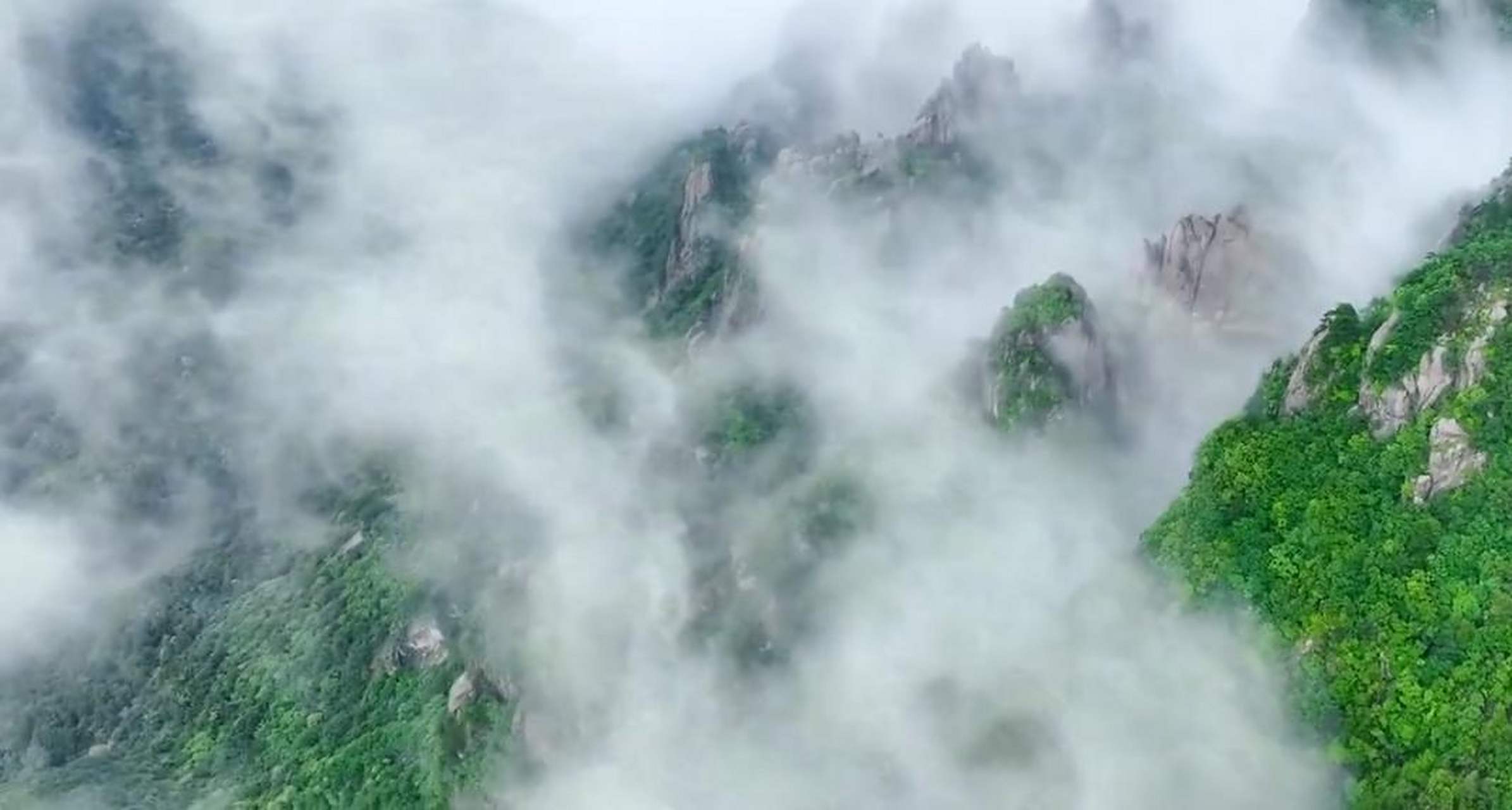 九华山云雾缥缈如水墨画】近日,安徽九华山出现壮美的云海景观.