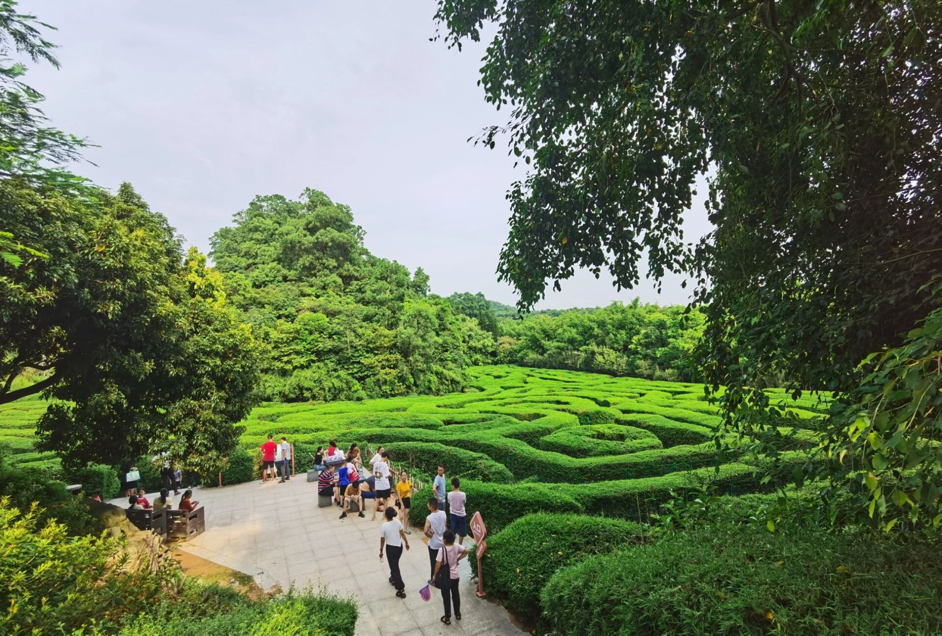去东莞大屏嶂森林公园打卡植物迷宫 每周一山徒步计划