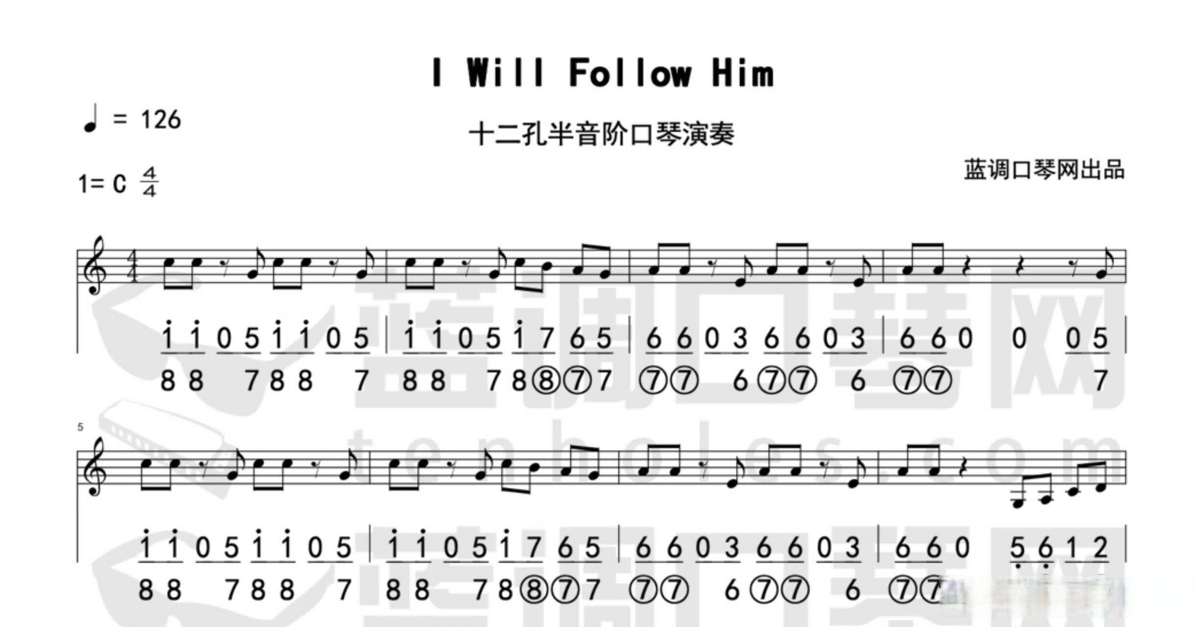 【曲谱更新】蓝调口琴演奏《花海》半音阶口琴演奏《i will follow