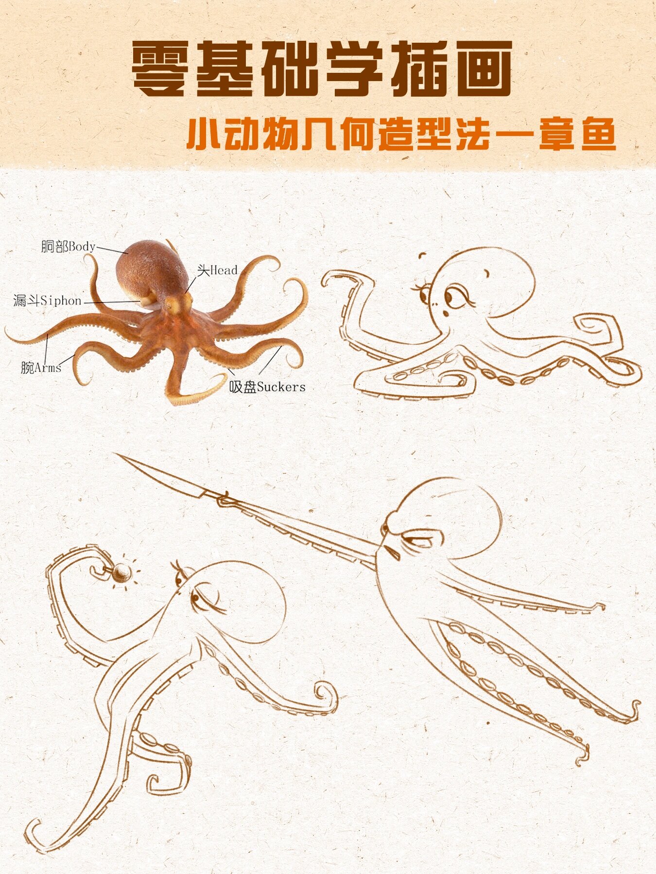 零基础插画教程|99小动物几何造型法-章鱼